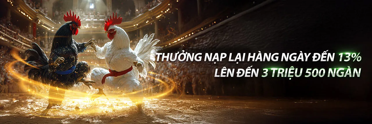 Đá gà trực tuyến mmoo3